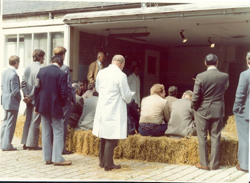 1977 Wallace Deas, Senior VIO discusses fertility testing of rams & pregnancy diagnosis in ewes