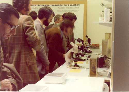 1977 Delegates in the laboratory learning about the techniques used for the diagnosis of abortion in sheep