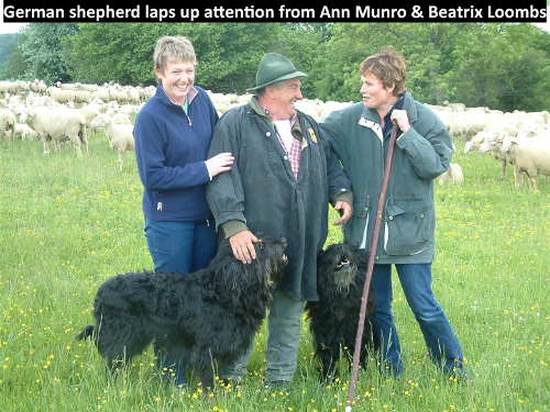 German shepherd laps up attention from Ann Munro and Beatrix Loombs